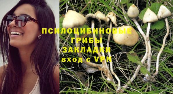мефедрон Зеленодольск
